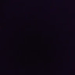 Meet your Posher, Dora